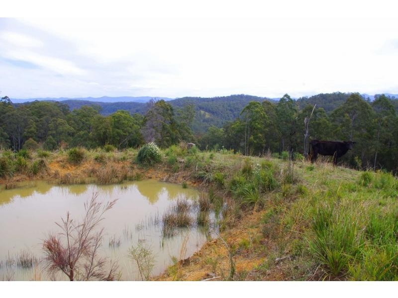 317 Rollans Road, Birdwood NSW 2446