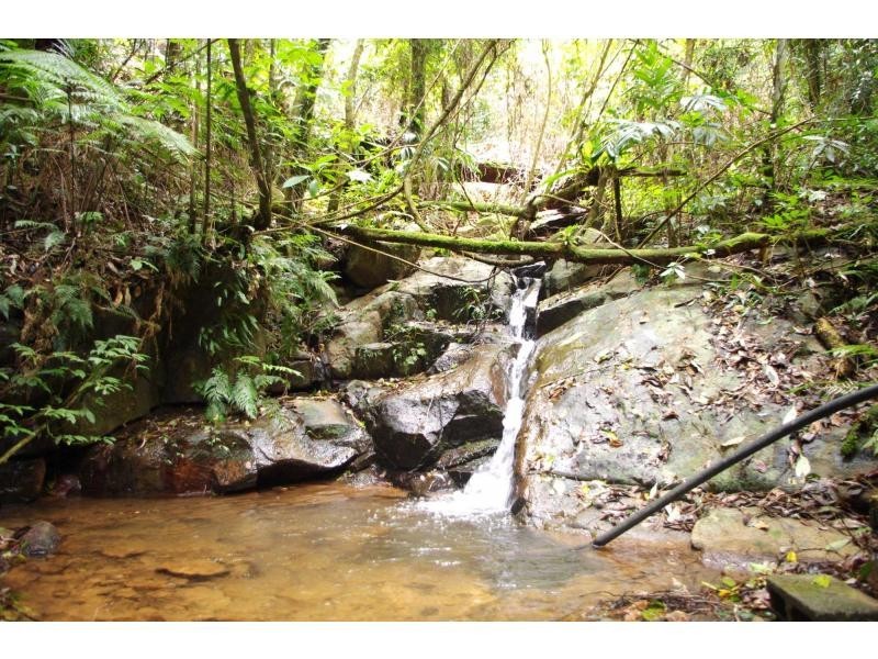 317 Rollans Road, Birdwood NSW 2446