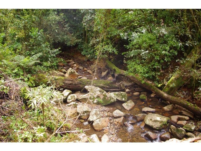 317 Rollans Road, Birdwood NSW 2446