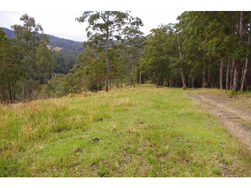 317 Rollans Road, Birdwood NSW 2446