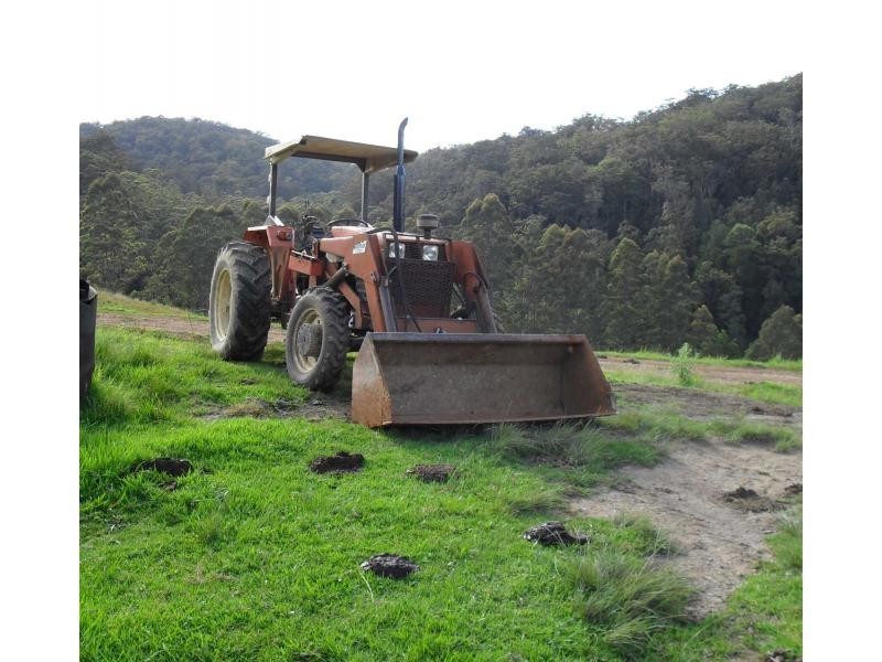 317 Rollans Road, Birdwood NSW 2446