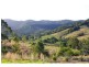 L2 Pine Scrub Road, Kindee NSW 2446