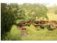 L2 Pine Scrub Road, Kindee NSW 2446