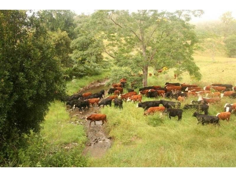 L2 Pine Scrub Road, Kindee NSW 2446