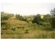 L2 Pine Scrub Road, Kindee NSW 2446