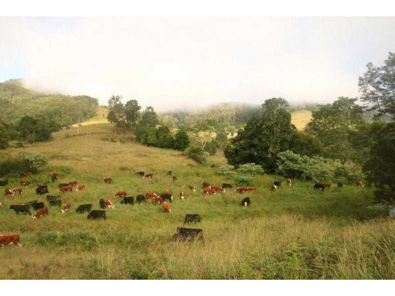 L2 Pine Scrub Road, Kindee NSW 2446
