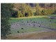 L2 Pine Scrub Road, Kindee NSW 2446