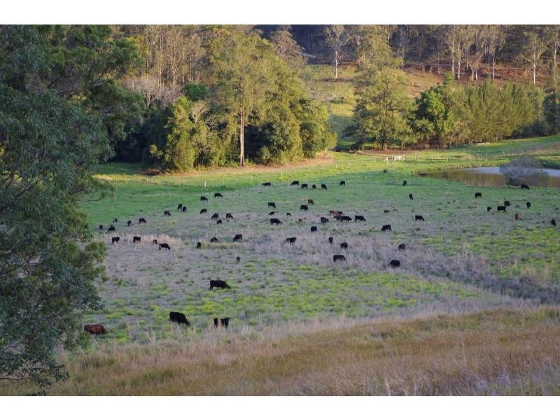 L2 Pine Scrub Road, Kindee NSW 2446