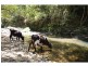 2168 Pappinbarra Road, Pappinbarra NSW 2446