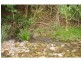 2249 Pappinbarra Road, Pappinbarra NSW 2446