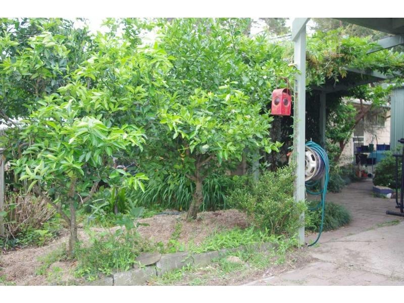 2249 Pappinbarra Road, Pappinbarra NSW 2446