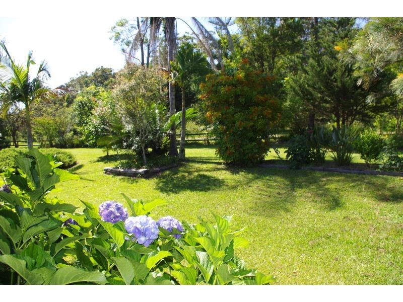 519 Pembrooke Road, Mortons Creek NSW 2446