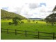 596 Littles Loop Road, Rollands Plains NSW 2441
