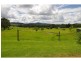 596 Littles Loop Road, Rollands Plains NSW 2441