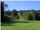 596 Littles Loop Road, Rollands Plains NSW 2441