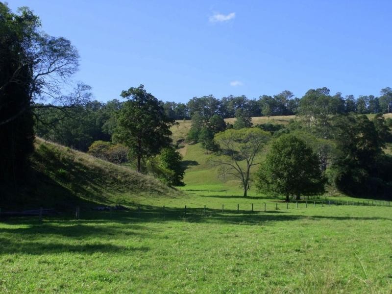 596 Littles Loop Road, Rollands Plains NSW 2441