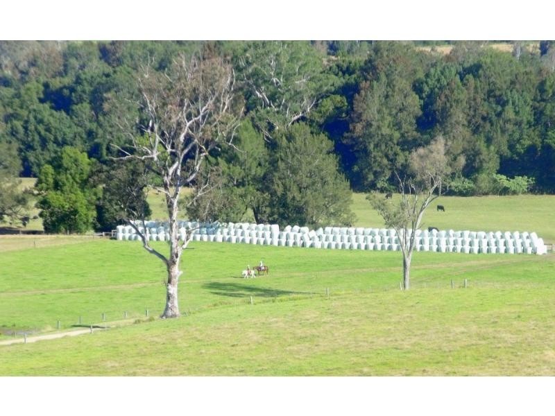 383 Littles Loop Road, Rollands Plains NSW 2441