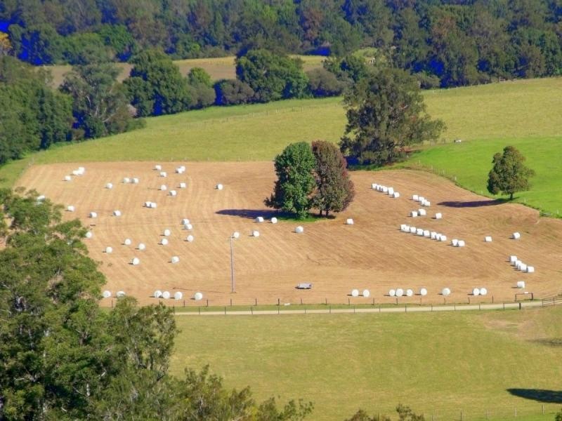 383 Littles Loop Road, Rollands Plains NSW 2441