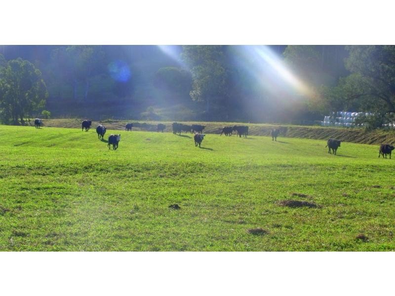 383 Littles Loop Road, Rollands Plains NSW 2441