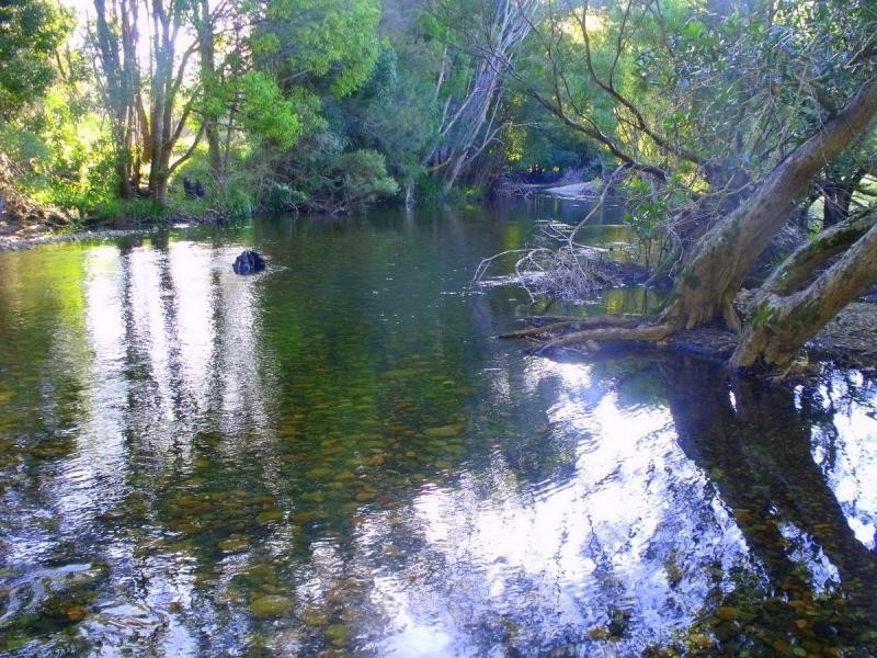 383 Littles Loop Road, Rollands Plains NSW 2441