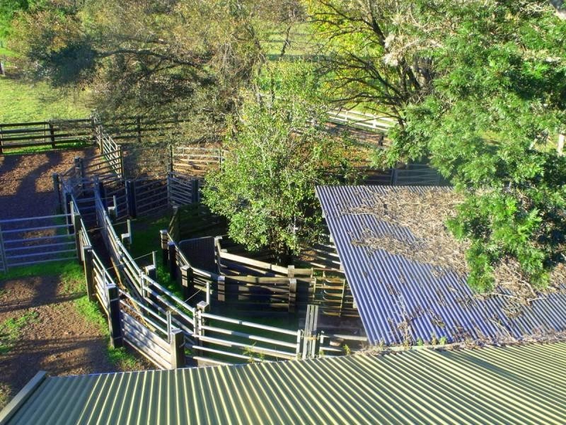 383 Littles Loop Road, Rollands Plains NSW 2441