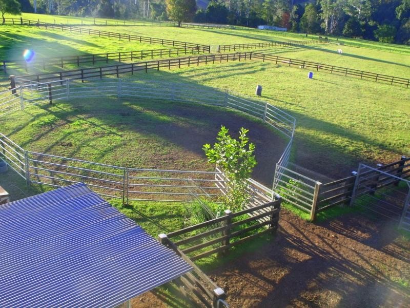 383 Littles Loop Road, Rollands Plains NSW 2441