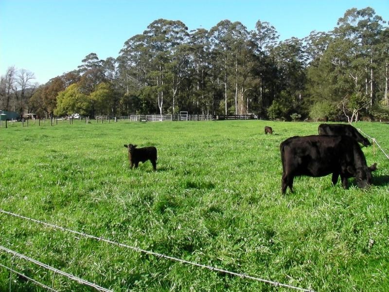 1178 Upper Rollands Plains Road, Rollands Plains NSW 2441