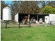 1178 Upper Rollands Plains Road, Rollands Plains NSW 2441