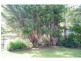 2 Parker Street, Wauchope NSW 2446
