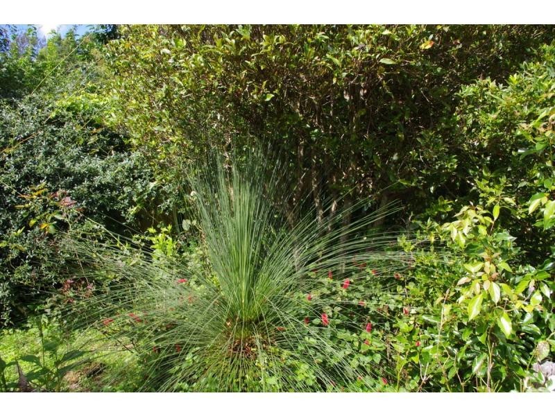 9 Wattle Street, Wauchope NSW 2446