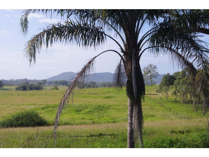 731 Beechwood Road, Beechwood NSW 2446