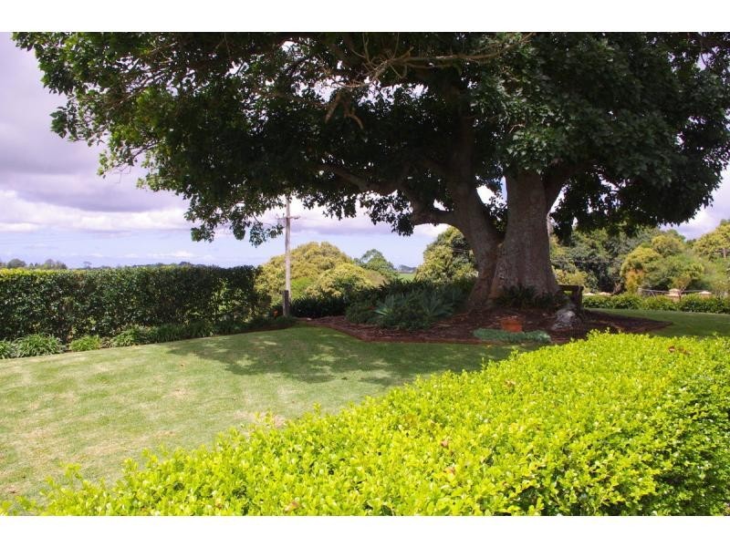 241 Stennetts Road, Comboyne NSW 2429