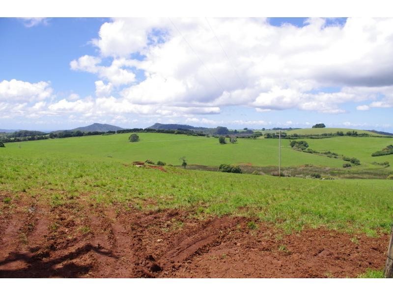 241 Stennetts Road, Comboyne NSW 2429