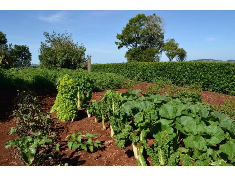 241 Stennetts Road, Comboyne NSW 2429