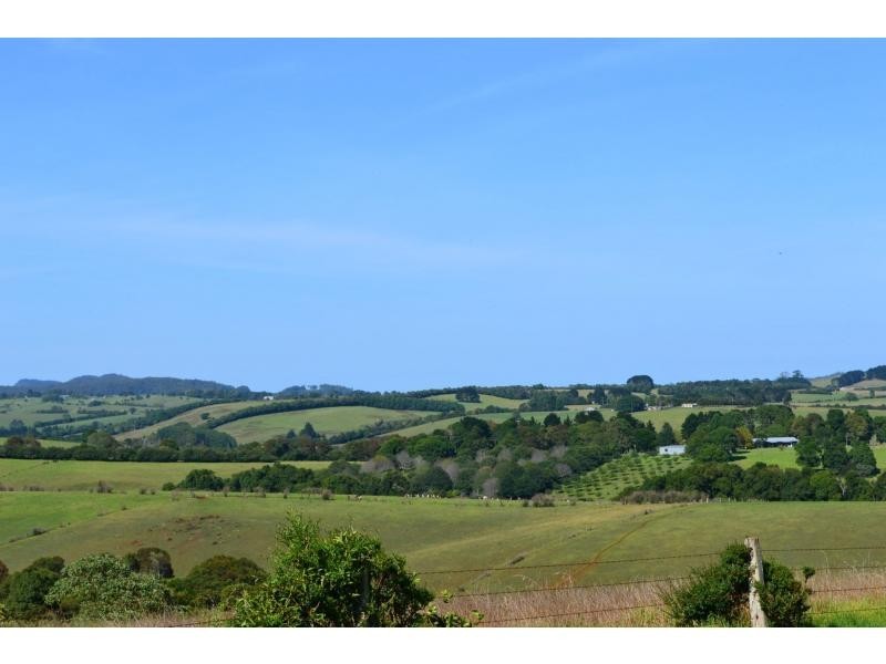 241 Stennetts Road, Comboyne NSW 2429