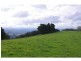 L6 Ingleside Road, Comboyne NSW 2429