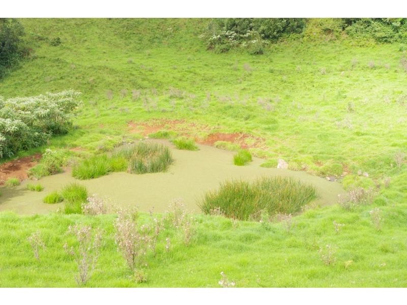 L6 Ingleside Road, Comboyne NSW 2429
