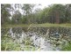 246 Old King Creek Road, King Creek NSW 2446