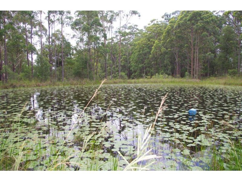 246 Old King Creek Road, King Creek NSW 2446