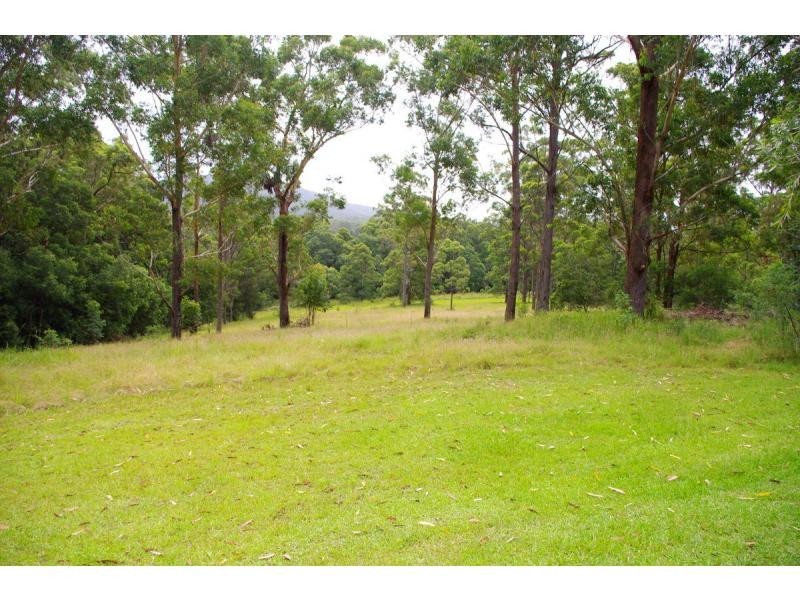 246 Old King Creek Road, King Creek NSW 2446