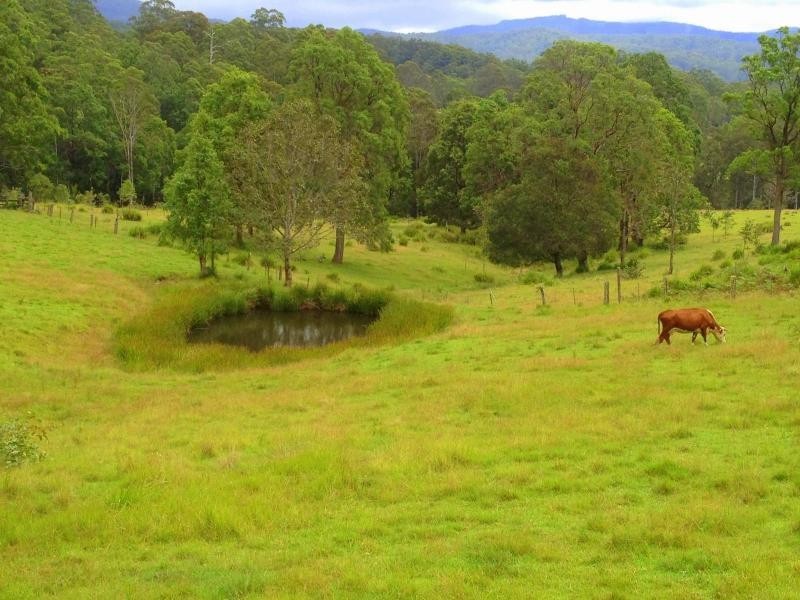 10,789 Oxley Highway, Mount Seaview NSW 2446