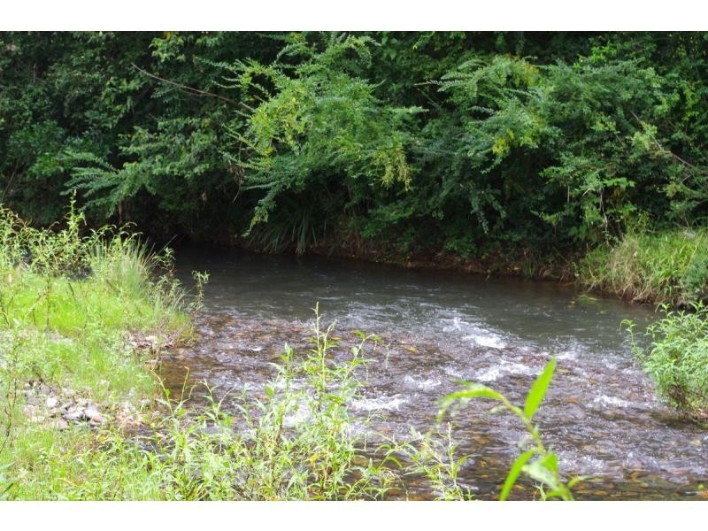 1512 River Road, Byabarra NSW 2446