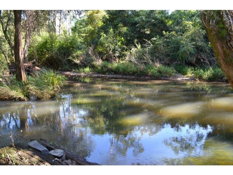 559 Bagnoo Road, Byabarra NSW 2446