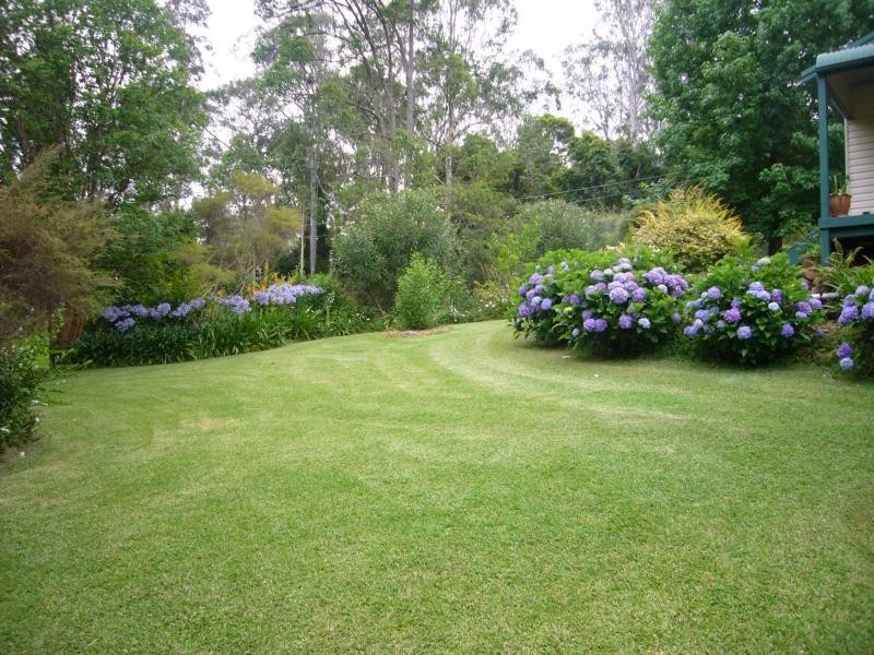 559 Bagnoo Road, Byabarra NSW 2446