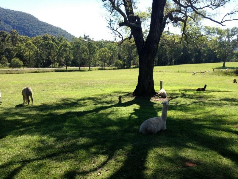 5611B Oxley Highway, Ellenborough NSW 2446
