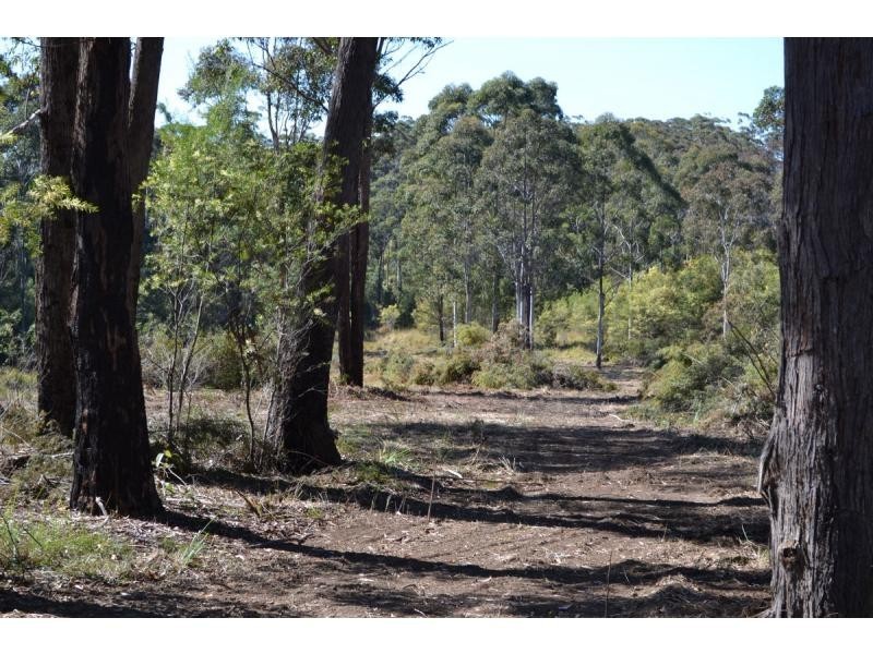 137 Old King Creek Road, King Creek NSW 2446