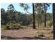 137 Old King Creek Road, King Creek NSW 2446