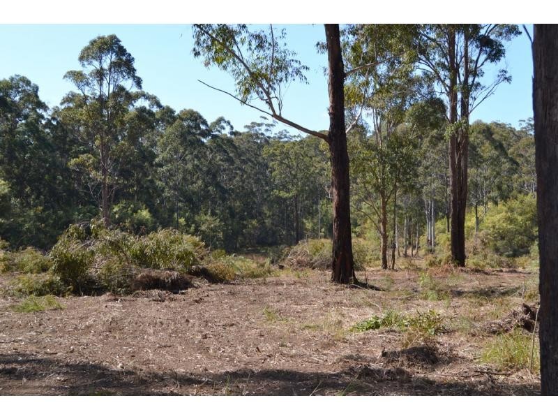 137 Old King Creek Road, King Creek NSW 2446