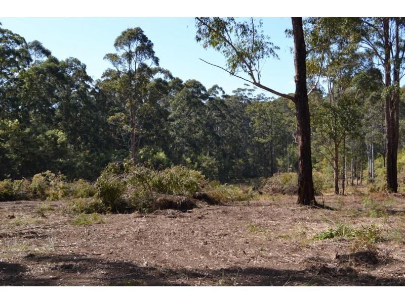 137 Old King Creek Road, King Creek NSW 2446