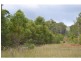 137 Old King Creek Road, King Creek NSW 2446